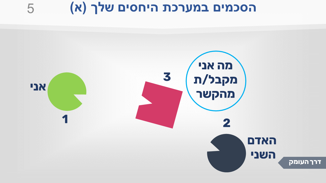 תמונה 5