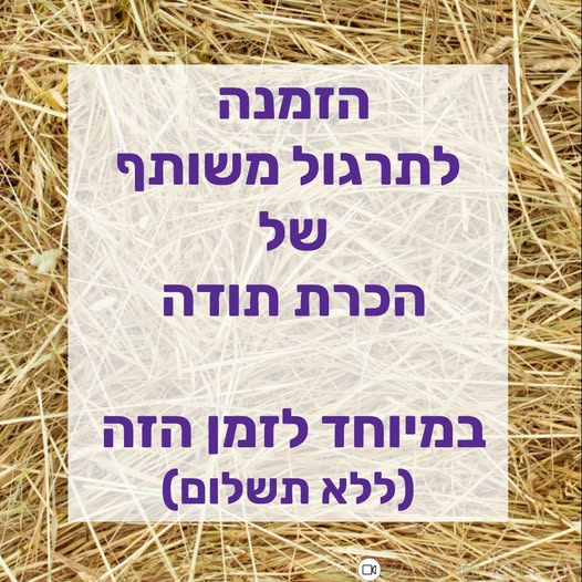 רקע של שחת יבשה ומעליו ריבוע לבן שקוף עם כיתוב סגול: הזמנה לתרגול משותף של הכרת תודה, במיוחד לזמן הזה, ללא תשלום